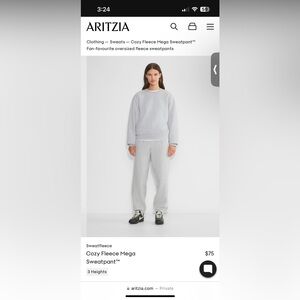 Aritzia Boyfriend Fit Sweatpants (Size Small)